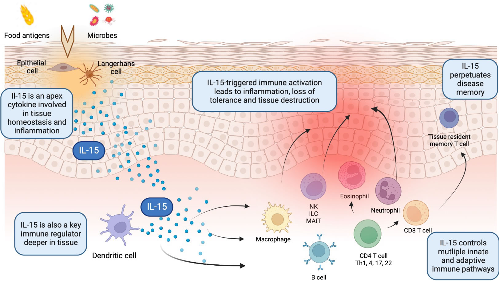 Calypso biotech | Science and Medicine